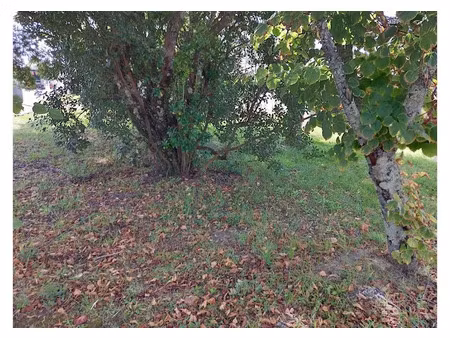 vente terrain 550 m² à la teste-de-buch (33260)  395 000 €