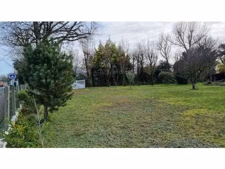 vente terrain au fenouiller (85800) : à vendre / le fenouiller