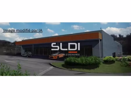 vente commerce ruy montceau 38300