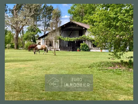 vente maison 7 pièces 220 m² luxey (40430)