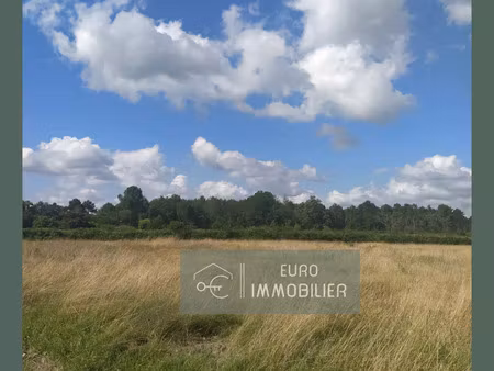 vente terrain 2320 m² bazas (33430)