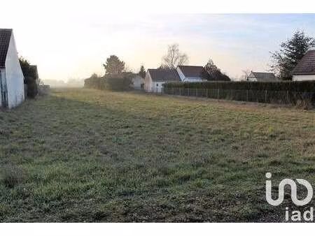vente terrain à montlivault (41350) : à vendre / 1258m² montlivault