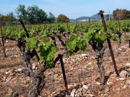 exploitation agricole  cave réalisée en pierres du gard 400 m2 sur 9 5ha de vignes