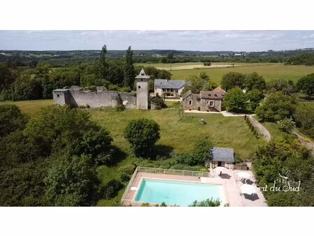 magnifique château du 13° siècle  2 maisons rénovées  pisci