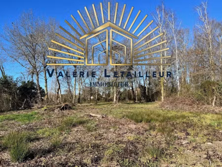 vente terrain 2808 m² à salleboeuf (33370)  284 000 €
