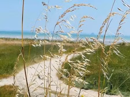 vente bureaux et commerces à cancale (35260) : à vendre / 200m² cancale