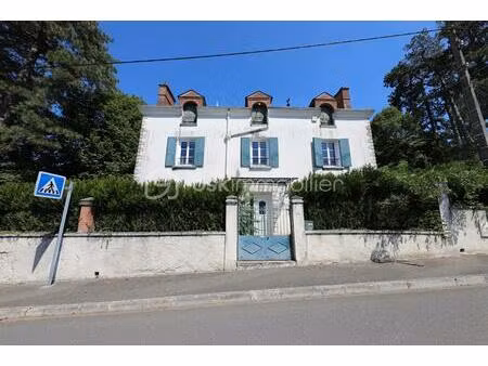 demeure de 260 m² à nogent-sur-vernisson