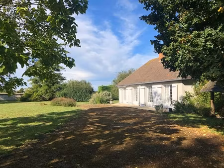 charmante maison et maisonnette  parc  8 minutes de chinon