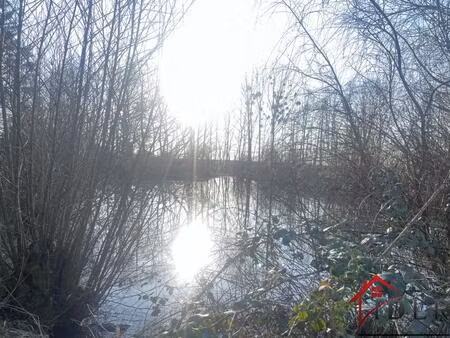 vente commerce 6600 m² choiseul (52240)