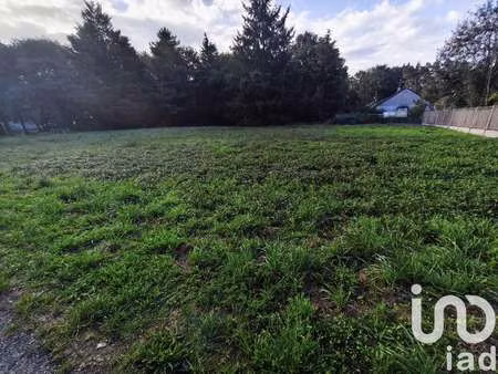 vente terrain à villefranche-sur-cher (41200) : à vendre / 1663m² villefranche-sur-cher