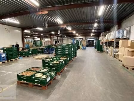 bien professionnel à louer à sint-katelijne-waver € 5.500 (l5160) - venture properties | z