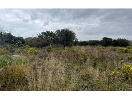 terrain mèze m² t- à vendre  249 500 €