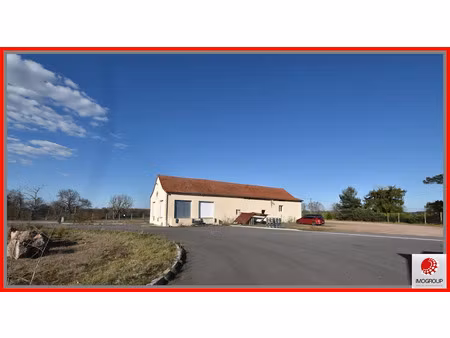 vente locaux professionnels 280 m² à lapalisse (03120)  214 000 €
