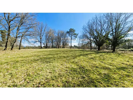 terrain à vendre à saint-sauveur-lalande (24700) - dordogne