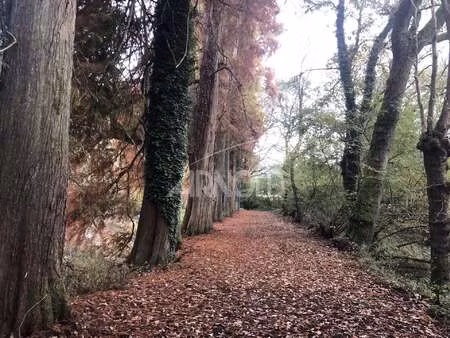 vente maison à bignan (56500) : à vendre / 250m² bignan