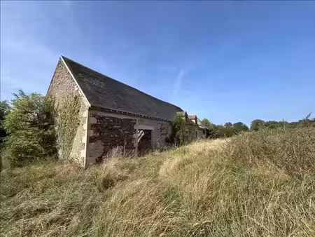 vente maison 2 pièces saint-maur (18270)