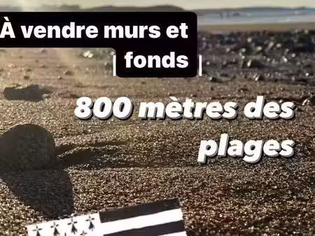 vente commerce 250 m² fréhel (22240)