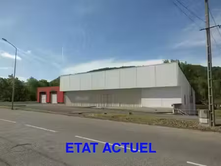 vente commerce 8 pièces 1000 m² lavelanet (09300)