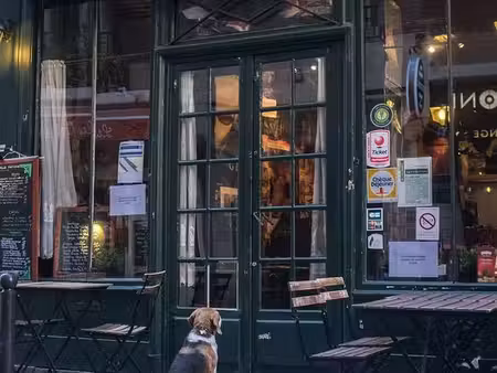 restaurant 92 m² coupvray
