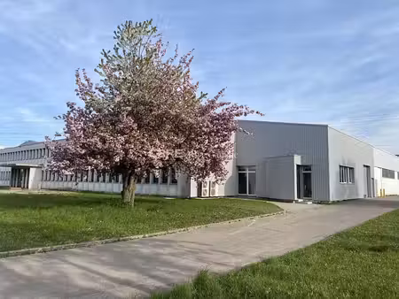 location local d'activités geispolsheim 3 560 m²