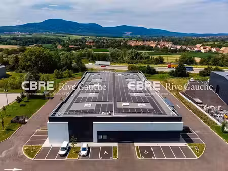 vente local d'activités goxwiller 236 m²