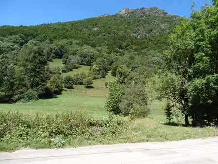 vente local commercial