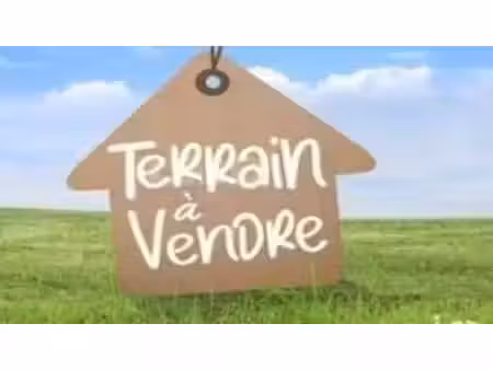 vente local d'activités sauvagnon 64230 - - surface privée