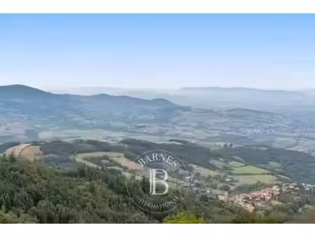 prestigieux château en vente courzieu  auvergne-rhône-alpes