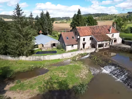 en exclusivité   moulin à rénover au coeur de l'yonne