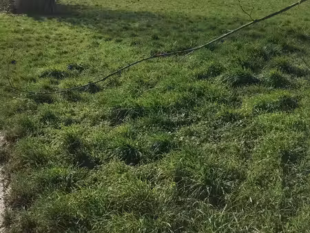 vente de terrain