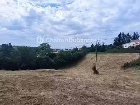 vente terrain 4682 m² à bussieres (42510)  98 000 €