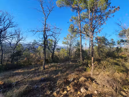 terrain de loisirs