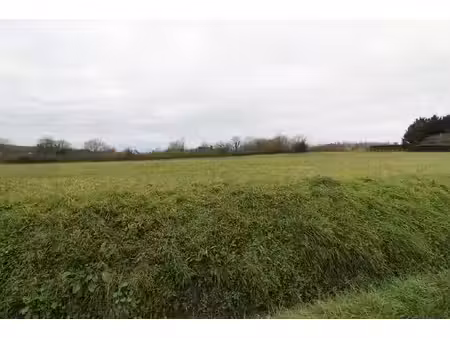 vente terrain  990.00m²  chisseaux