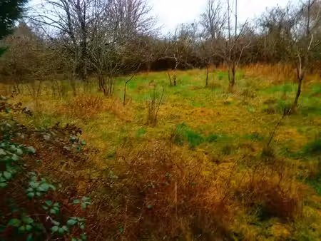 vente terrain 3000 m² à deols (36130)  40 000 €
