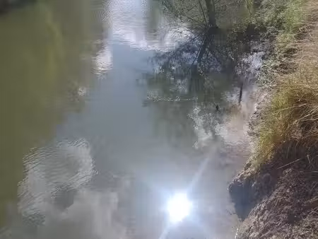 location coup pêche