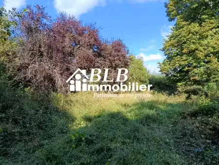 vente terrain 5220 m² le perray-en-yvelines (78610)