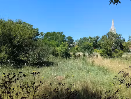 vente terrain 1884 m² marennes-hiers-brouage (17320)