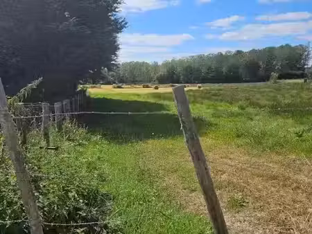 vente terrain 1616 m² à la souterraine (23300)  29 000 €