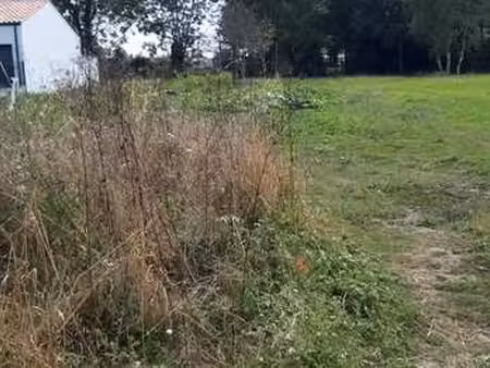 vente terrain au bernard (85560) : à vendre / le bernard