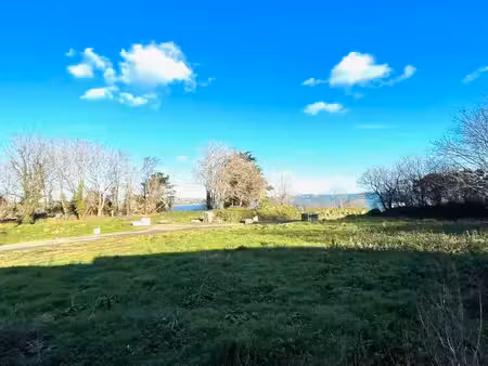 terrain