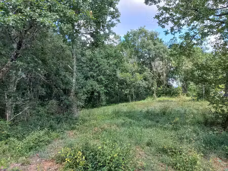 beau terrain