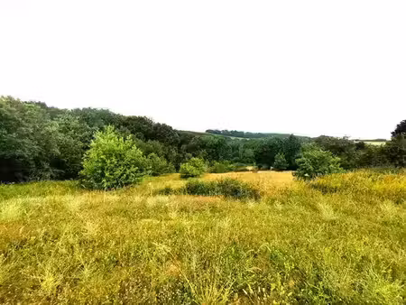 vente terrain 2227 m² monclar-de-quercy (82230)