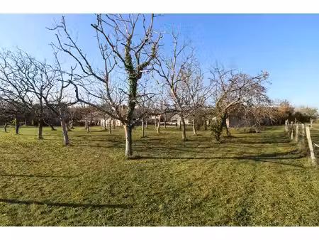 vente terrain  980.00m²  monteaux