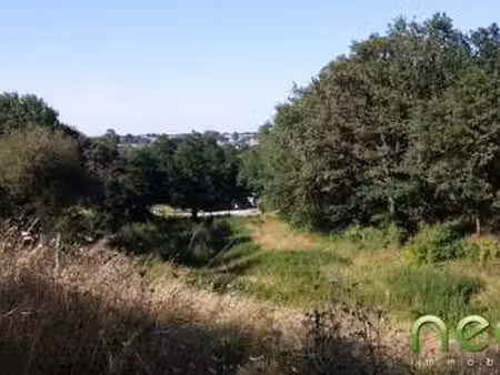 vente terrain à montfaucon-montigné (49230) : à vendre / 5194m² montfaucon-montigné
