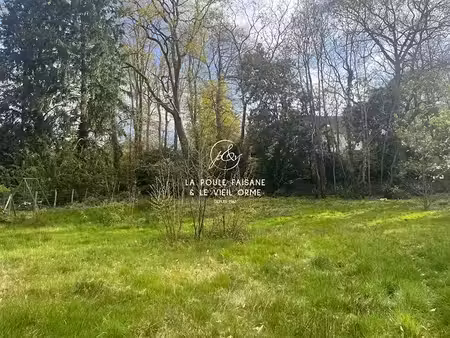 vente terrain 550 m² à montfort-l'amaury (78490)  220 000 €