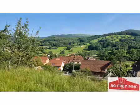 a vendre terrain à muhlbach sur munster dans le haut-rhin 68