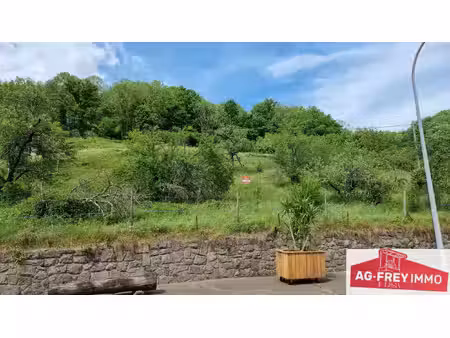 a vendre terrain à muhlbach sur munster dans le haut-rhin 68