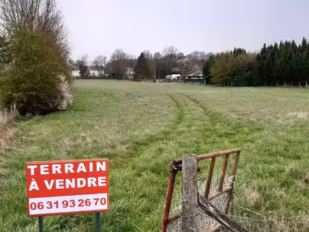 terrain à piney