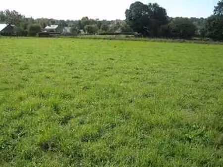 vente terrain à roullours (14500) : à vendre / 926m² roullours
