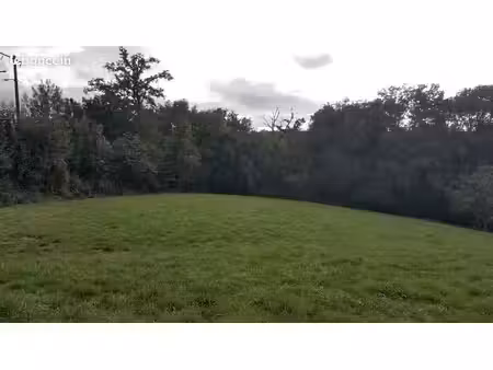 terrain avec cu